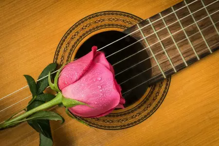 ویژگی گیتار آدمیرا paloma